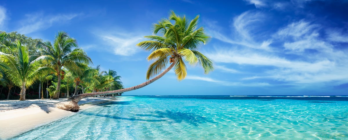 Iconic Seychelles beach with granite boulders, turquoise Indian Ocean waters, and coconut palm bent over the sea